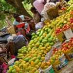 Mango market in Les Gonaïves